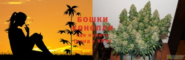 трава Верея